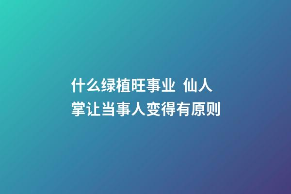 什么绿植旺事业  仙人掌让当事人变得有原则